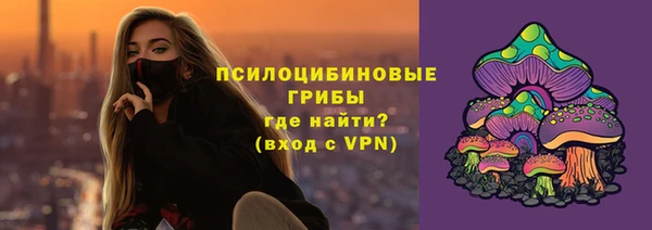 тгк Алексин