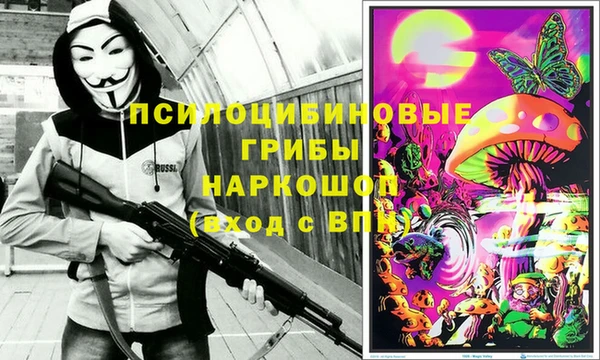 тгк Алексин