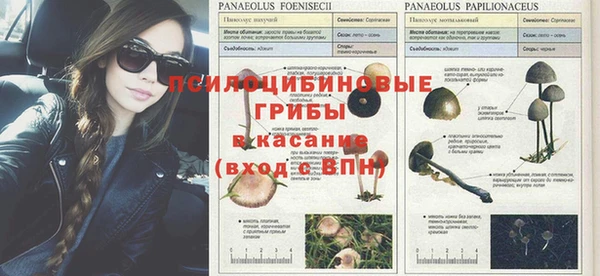 кокс Алексеевка
