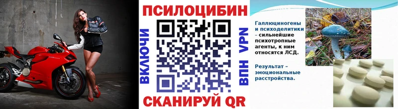 Галлюциногенные грибы прущие грибы  Прохладный 